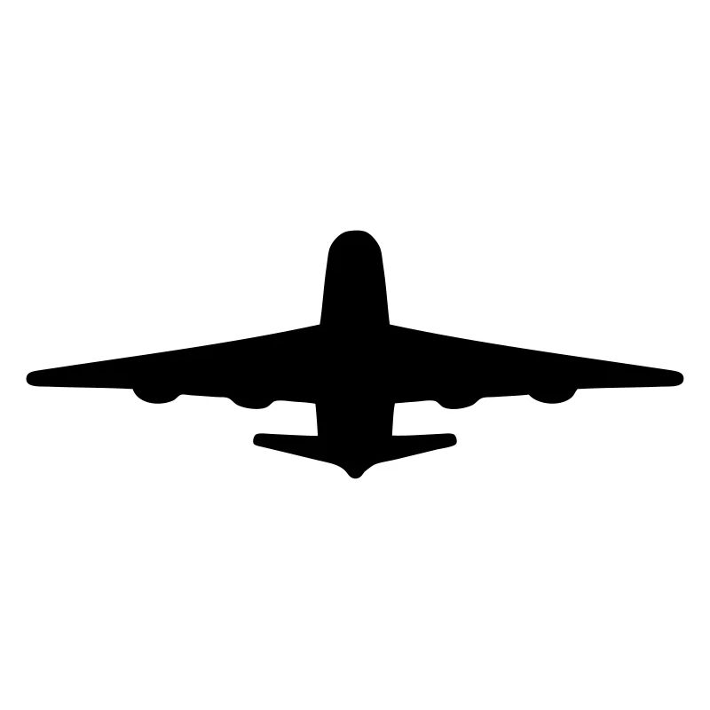airliner, airport pilot, air hostess