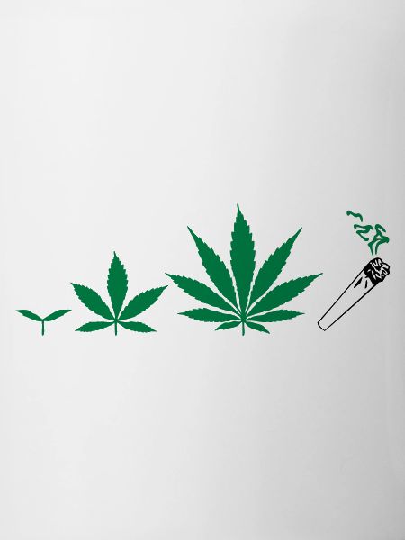 Cannabis development