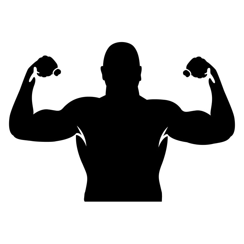 muscles