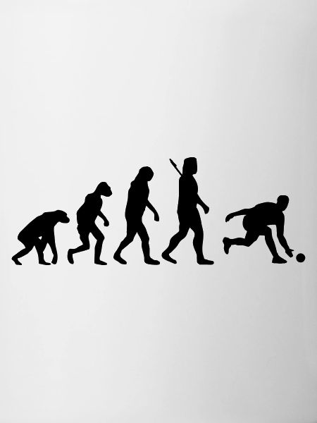 Evolution Kegeln