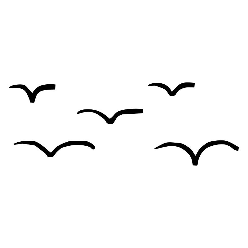 5 Vögel