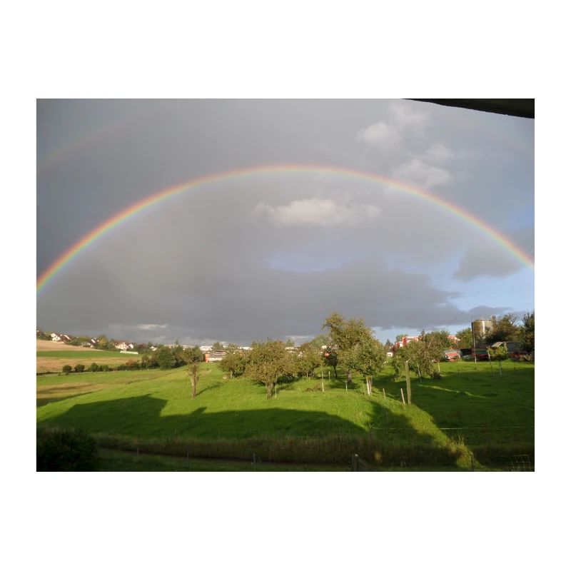 Rainbow