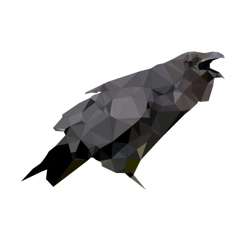 Polygon Krähe
