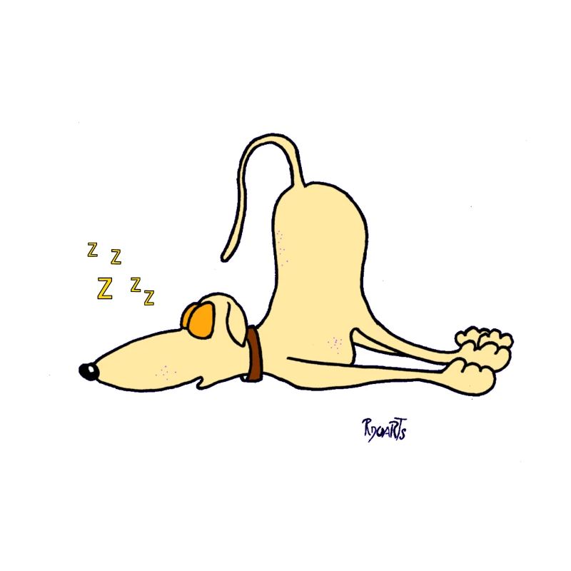 Greyhound - just sleeping