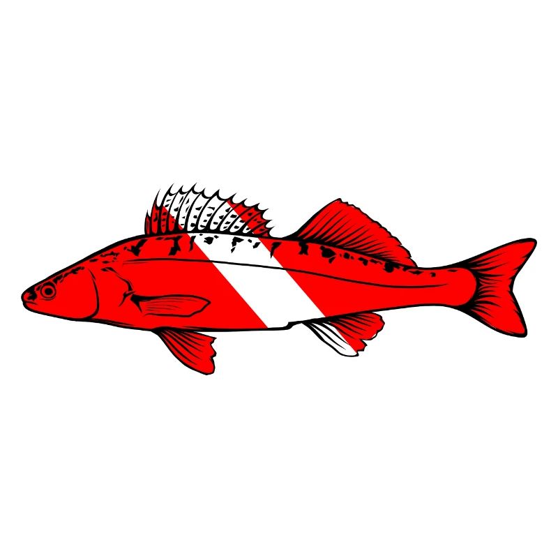 Zander by Scuba.Style