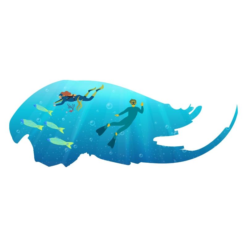 Plongée sous Marine