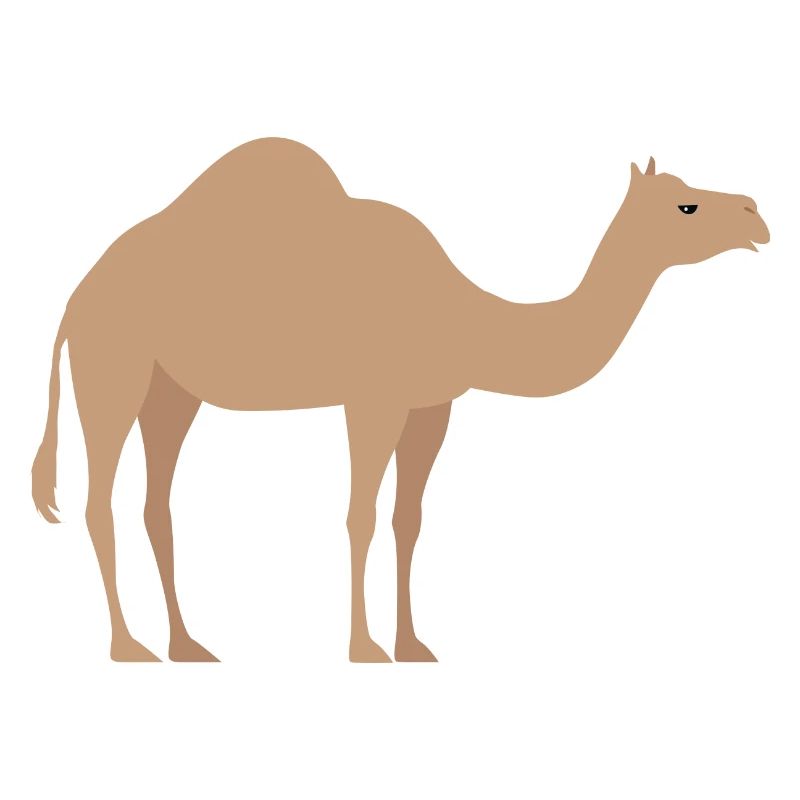 Wildtiere
