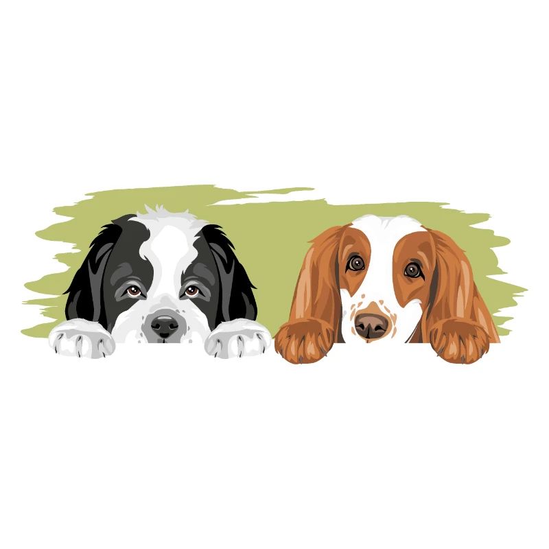 Saint Bernard et Cocker Spaniel sont les meilleurs amis