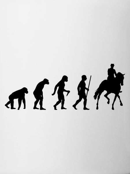 Cavalier de dressage Evolution
