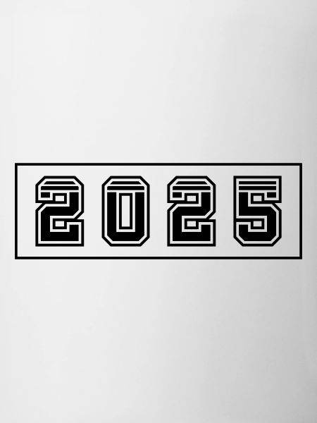 2025 year