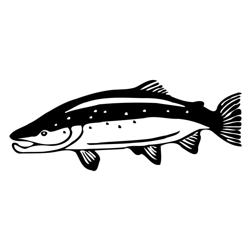 Lachs