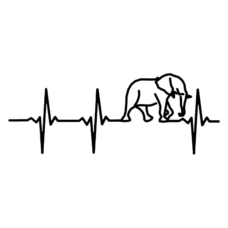 MON CŒUR BAT POUR LES ÉLÉPHANTS !