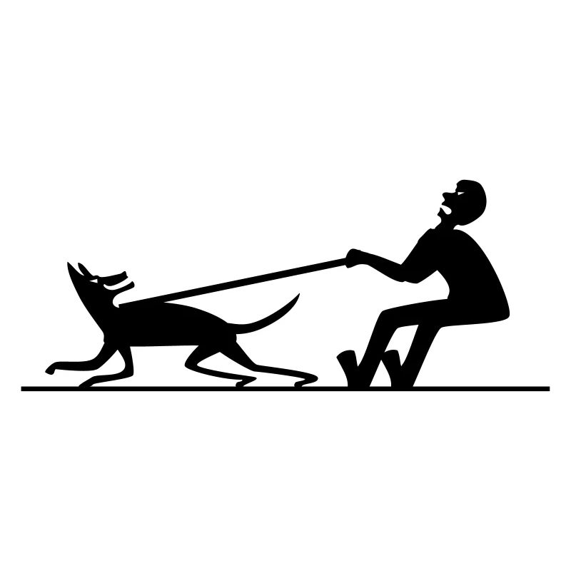 Hund zieht Mann 2