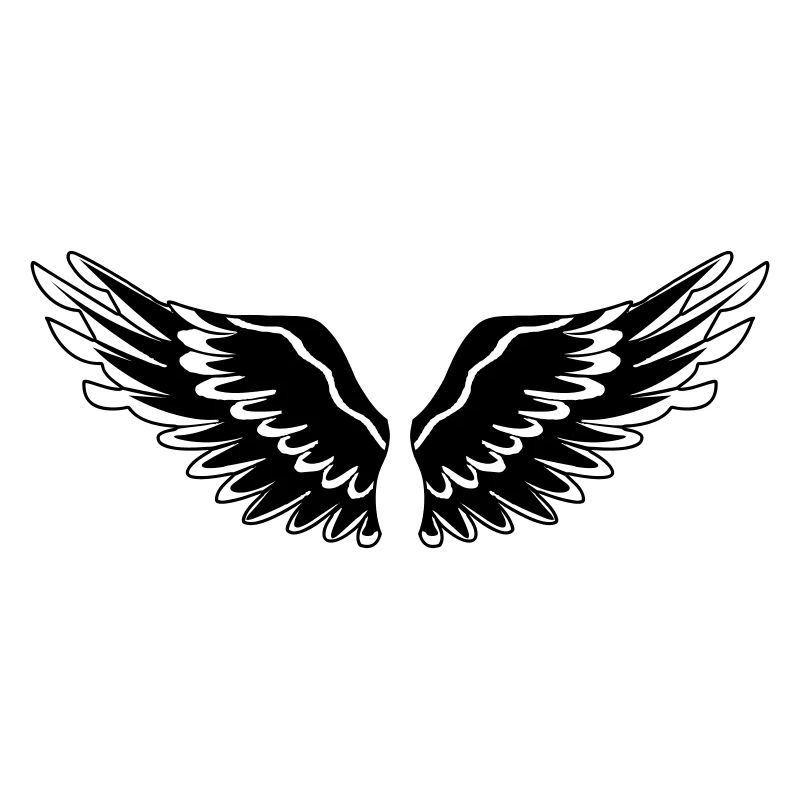 Ailes noir de