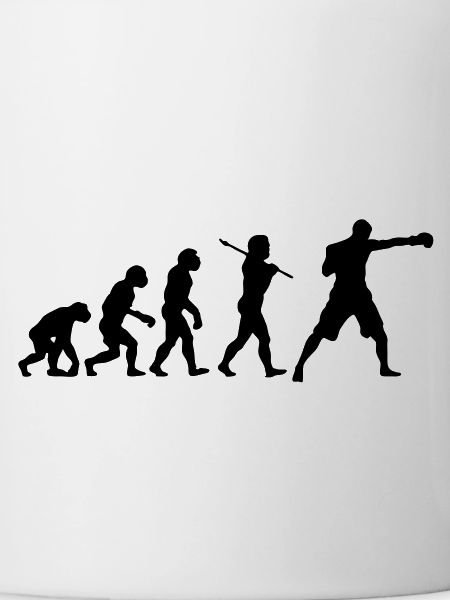 Boxing Evolution