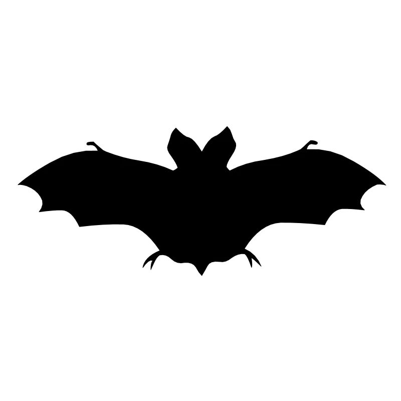 fledermaus