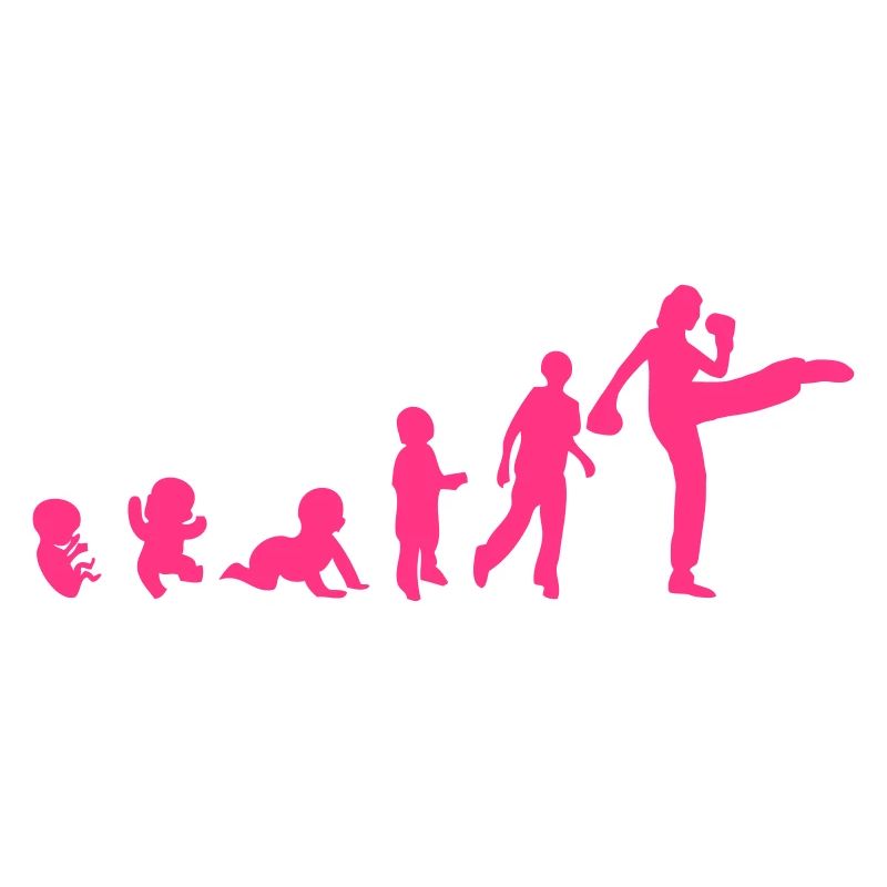 evolution franzoesisch boxen savate 4