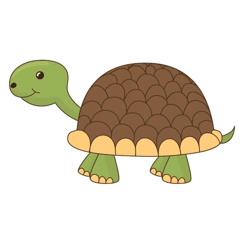 Tortue heureuse