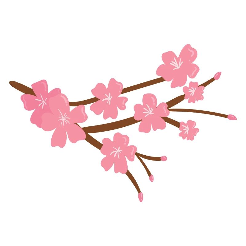 Fleur de cerisier japonais