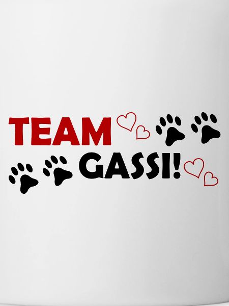 Team Gassi