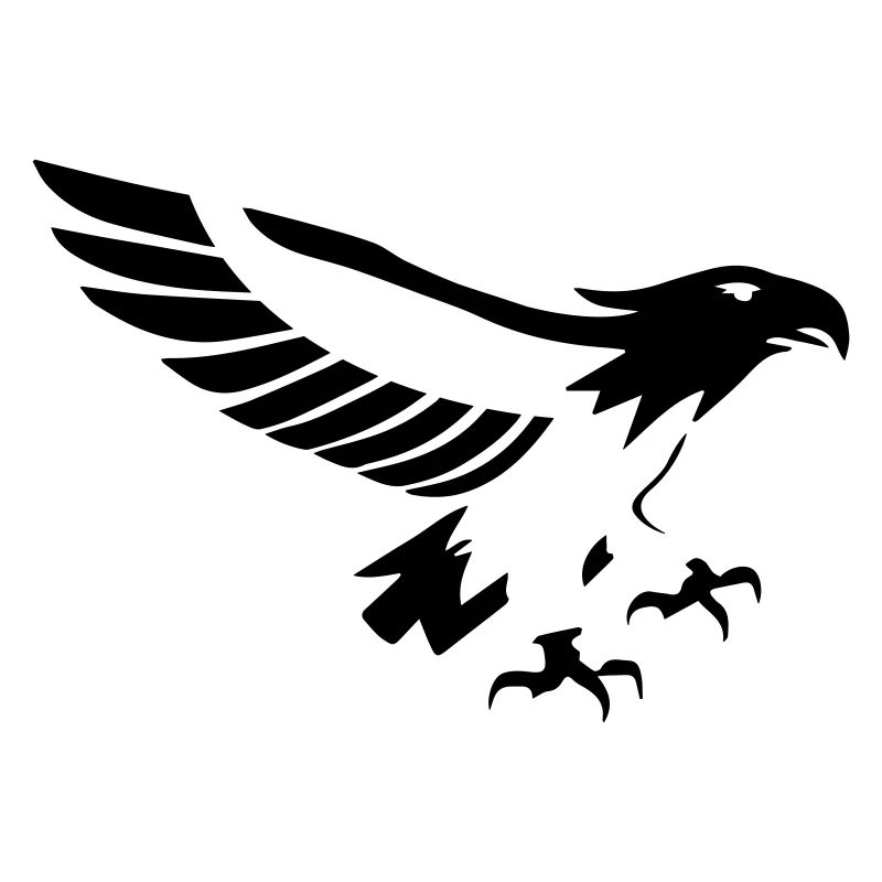 vole d'aigle puissant- 14