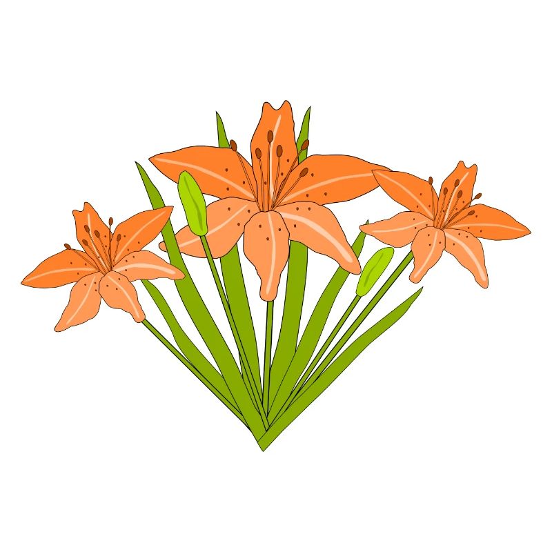 Fire Lilies