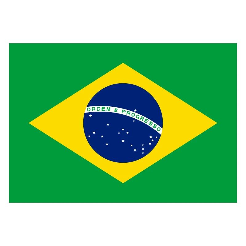 Brazil flag / Drapeau Brésil