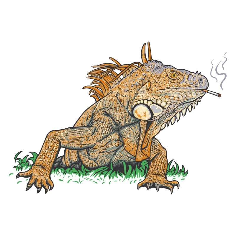 Iguane // Illustration