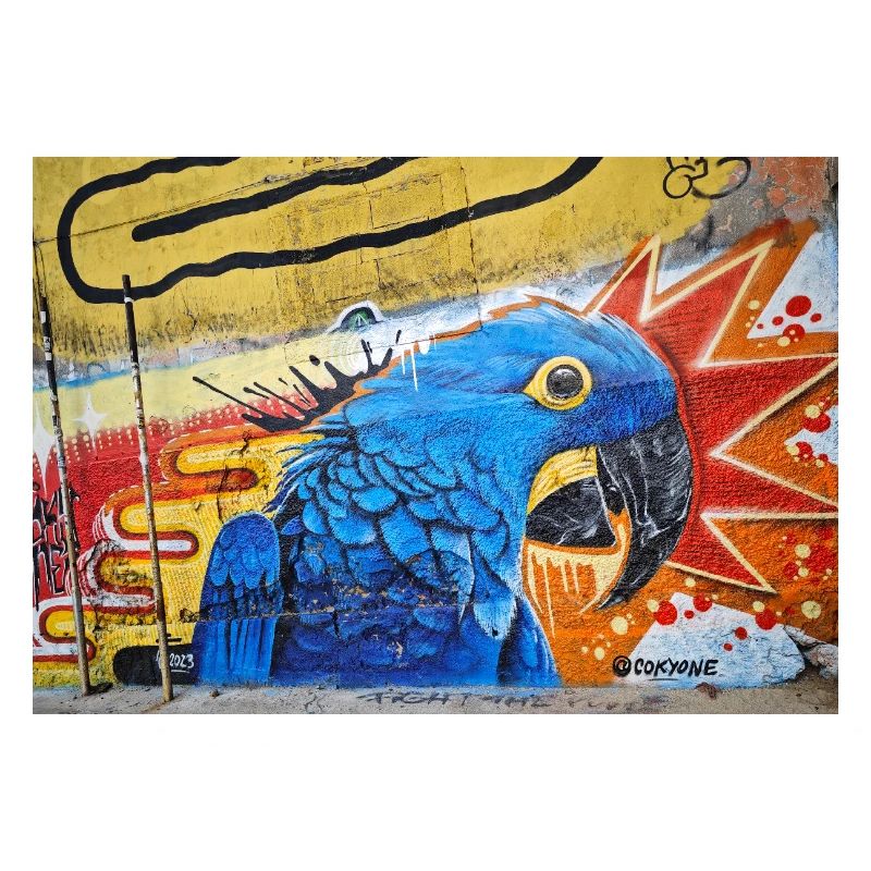 Graffiti World 6