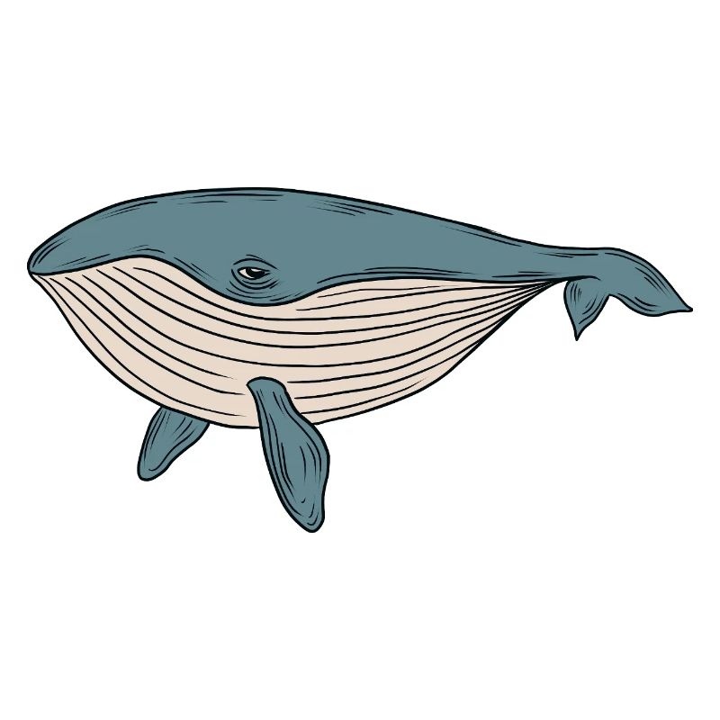 Baleine