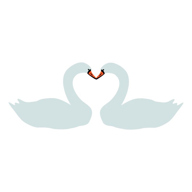 Swans Heart