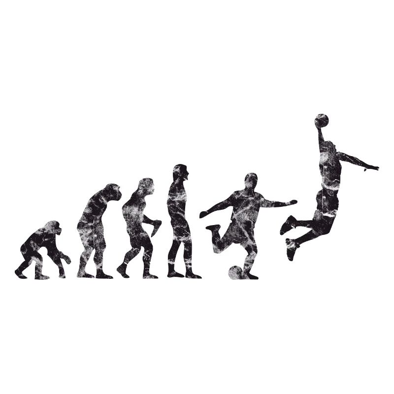 Basket-ball Evolution Basketball Basket