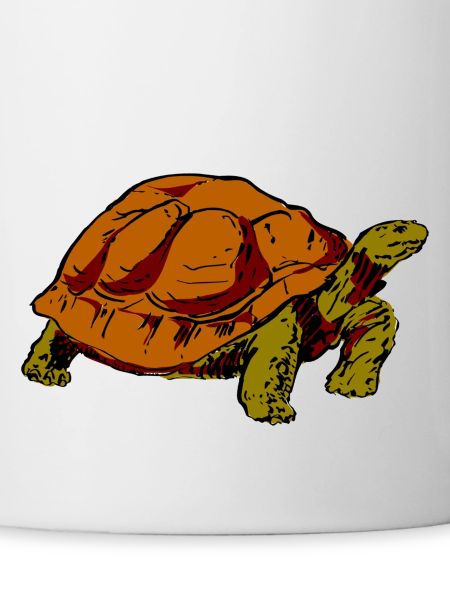 tortue