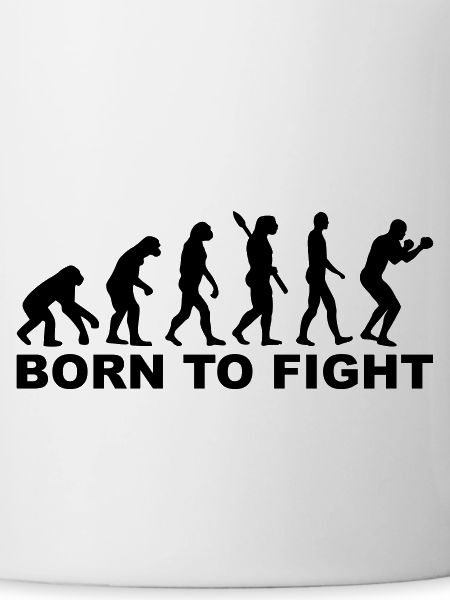 Boxing Evolution