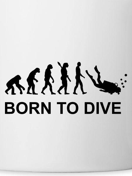Evolution Diving