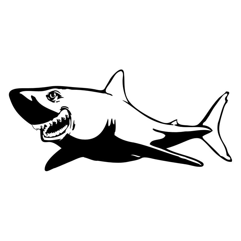 Poisson requin dangereux