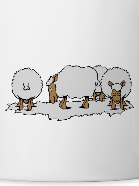 SHEEP herd