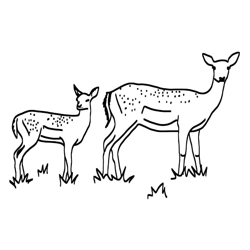 Rehe lineart