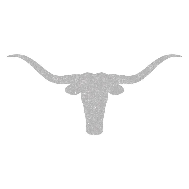 Stier