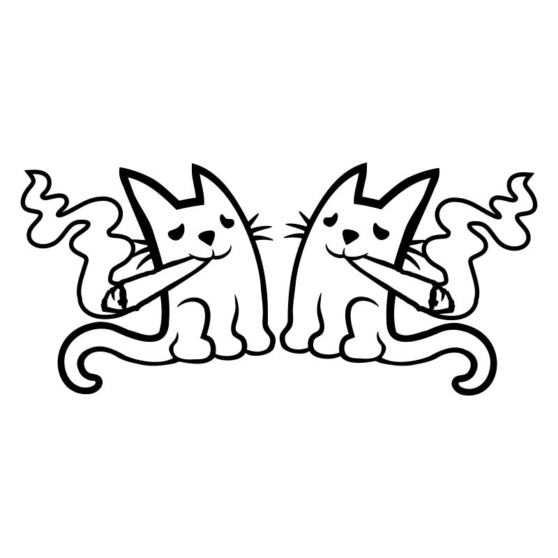 Team 2 kiffende Katzen