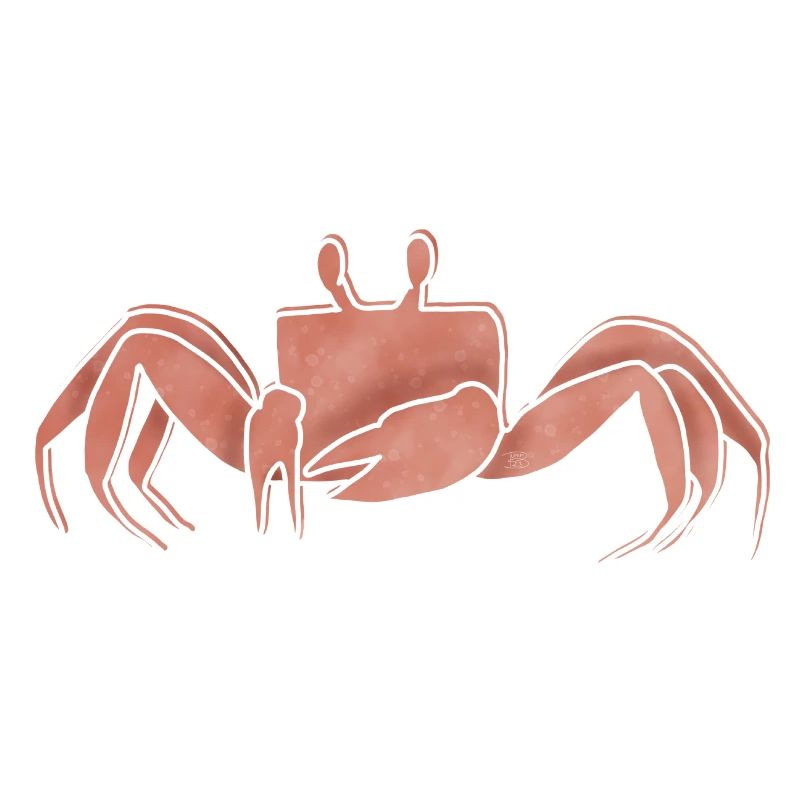 « Crab », Boho Line Art Design, série « Ocean »