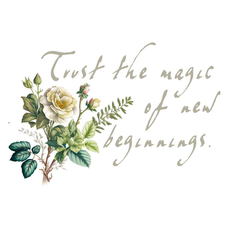 New Beginnings