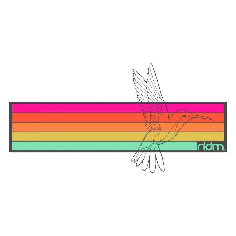 RIDM Rayures Colibri