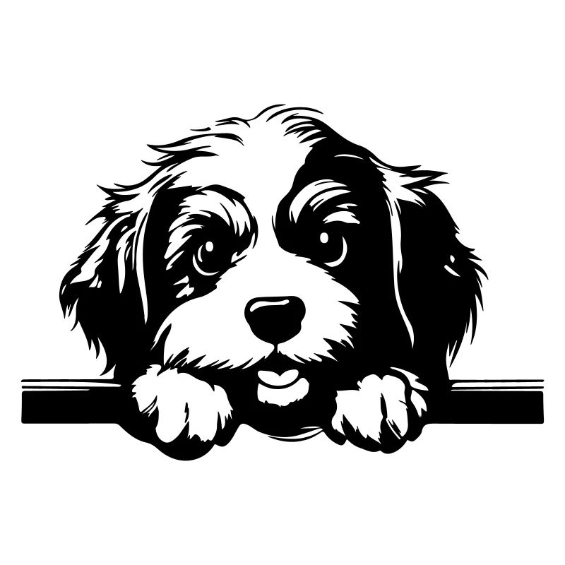 Havanese