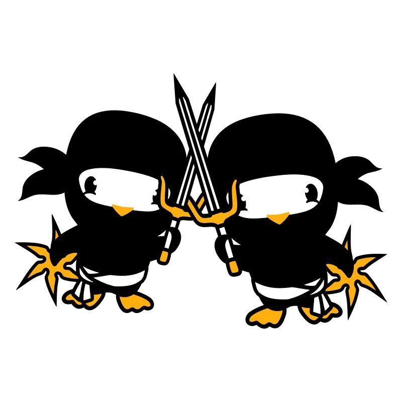 2 Vögel Ninja Kämpfer Assassin Schwert Ninjastern