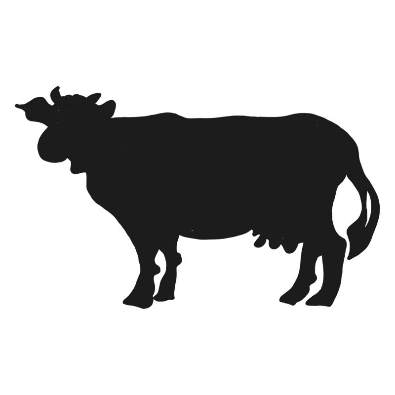 Schwarze Kuh