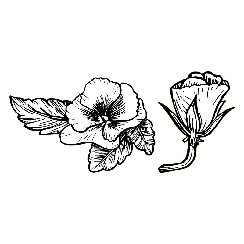 Pensée