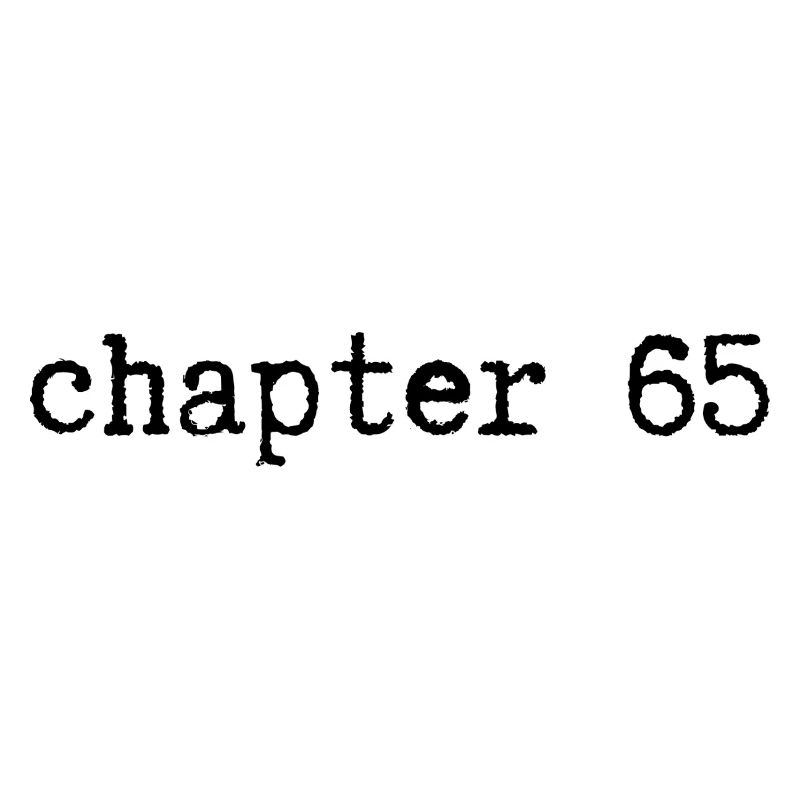 chapitre 65 : Anniversaire