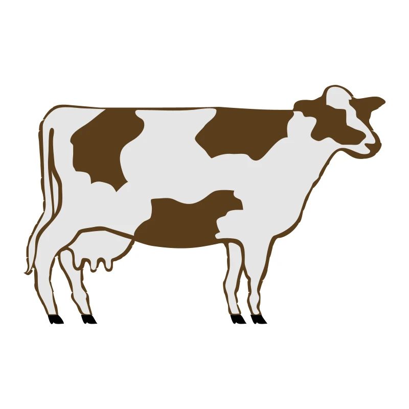 Vache laitière