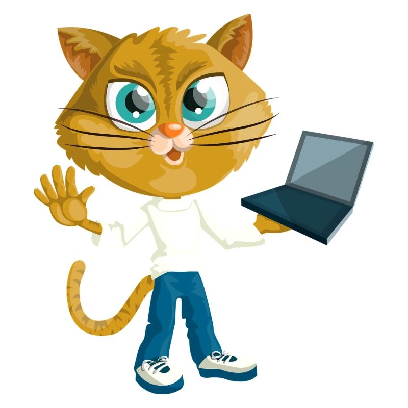 Chat avec LapTop